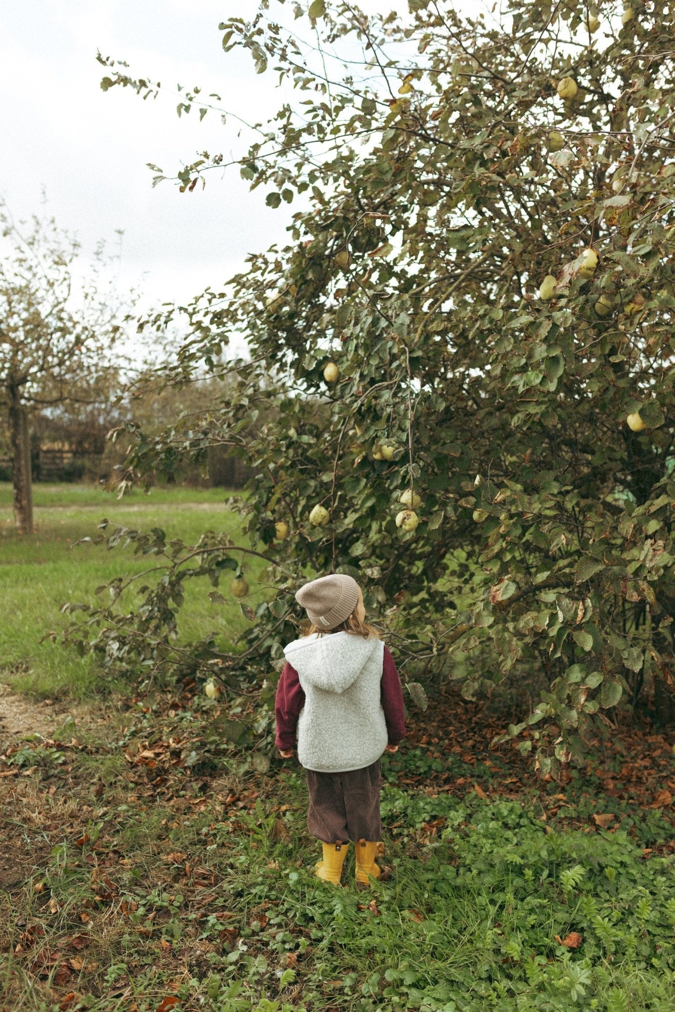 Wollweste "Hodi" mit Kapuze für Kinder - Wollbebi
